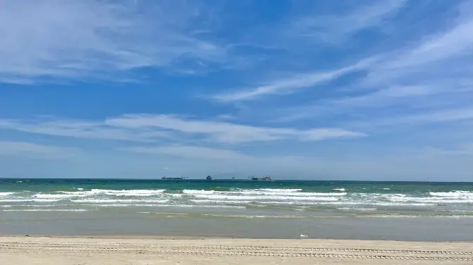 4_紅樹林天天趕海