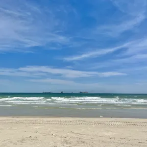 紅樹林天天趕海