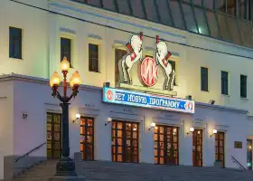 Moscow Circus on Ice