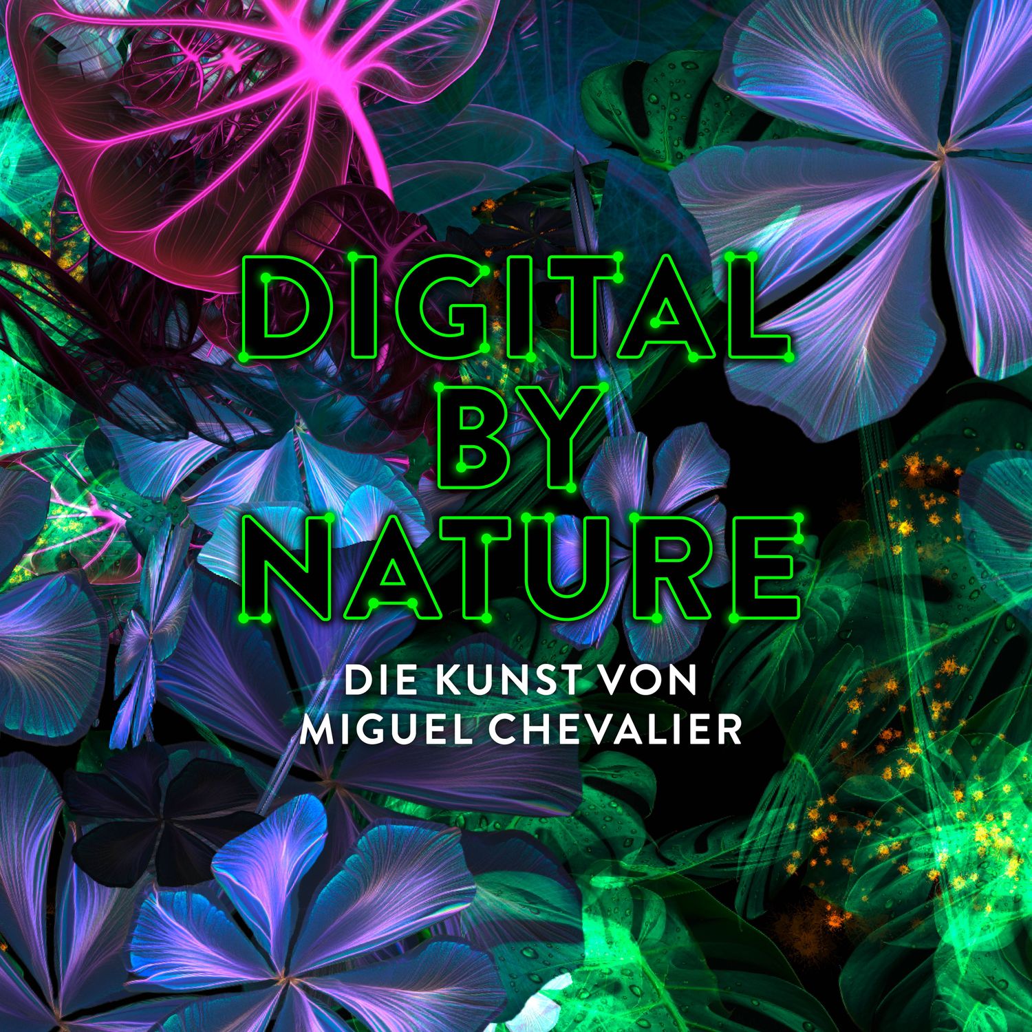 Digital by Nature. The Art of Miguel Chevalier | Kunsthalle Munich