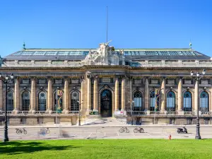 Museum of Art and History