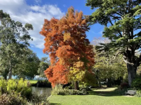 Mona Vale Garden Park