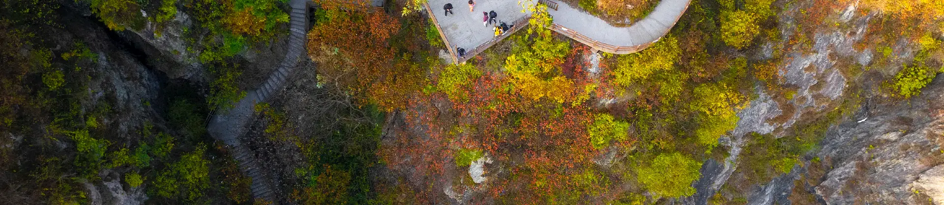 Attrazioni per la visione autunnale