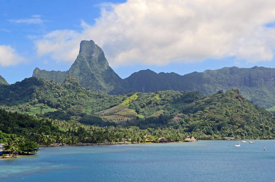 Mo'orea