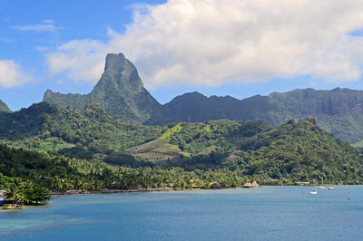 Mo'orea