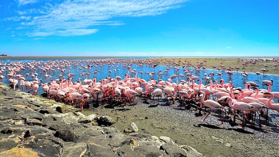 Walvis Bay Waterfront