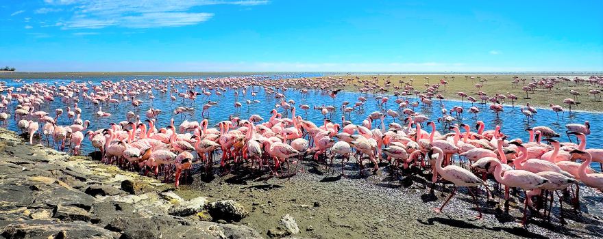 Walvis Bay Waterfront