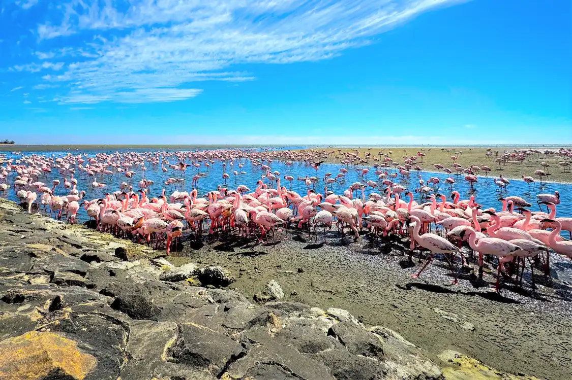 Hotels near Walvis Bay Waterfront