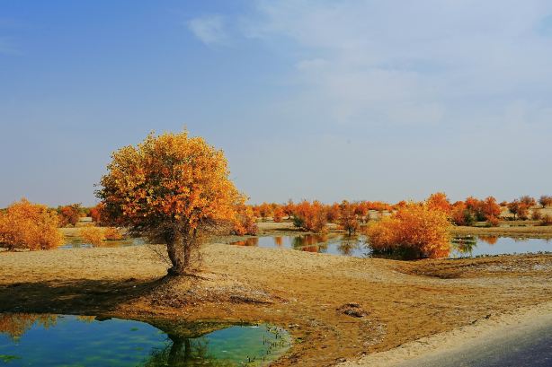 Segezikule Township Emerald Lake