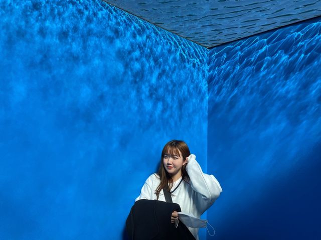 베이커리카페 “오르다” in Jeju