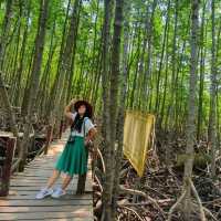ธรรมชาติสีเขียว จะเยียวยาทุกสิ่ง