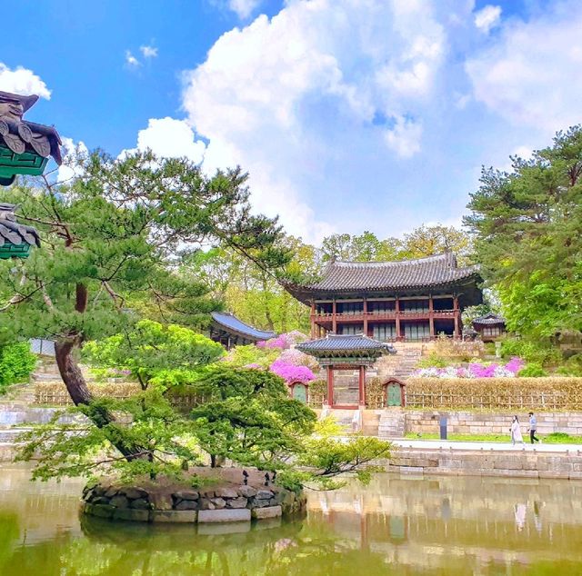 창덕궁 후원 관람
