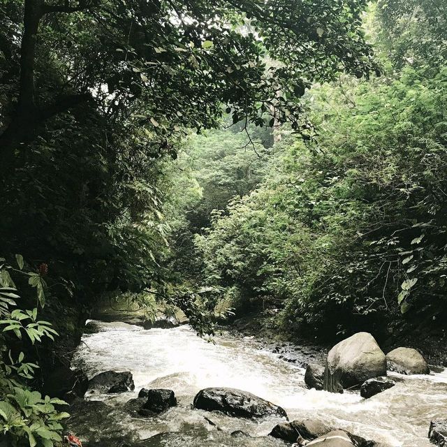 Picnic at Juanda Forest Park