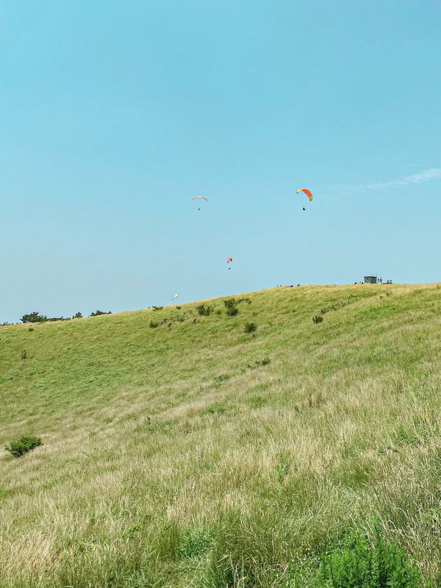 제일 예쁜 제주 오름 금오름