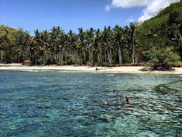 Gamat Bay