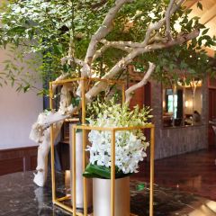 LE COMPTOIR DE PIERRE GAGNAIRE User Photo