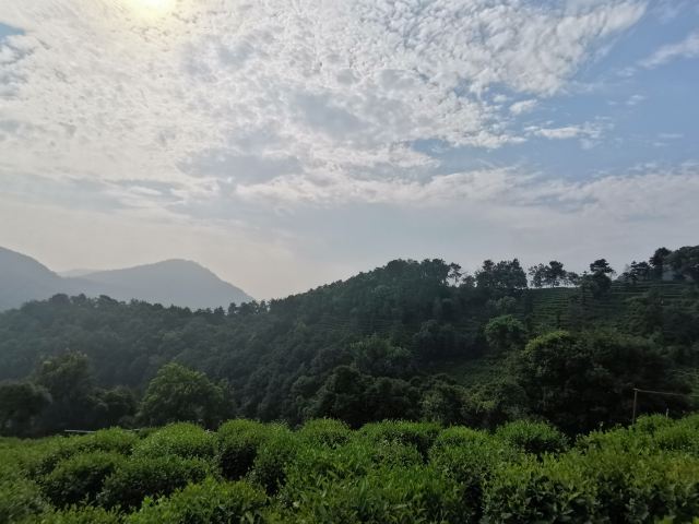 소년아동공원