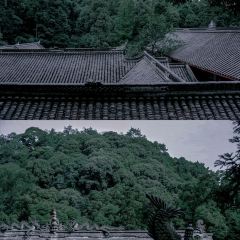 无漏秋山(素食餐厅) User Photo
