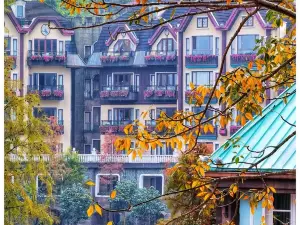 東部華僑城・茶渓谷