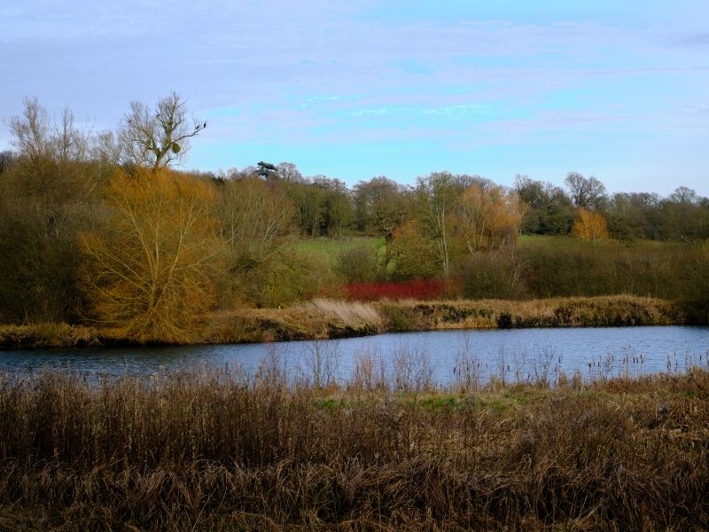 Braunig Lake Photos Photos of San Antonio Attractions Trip Moments