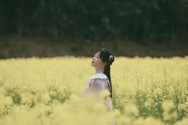 제갈팔괘촌