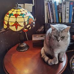 Day &Night Cafe User Photo