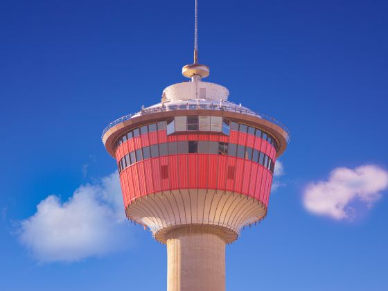 Calgary Tower