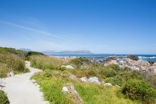 Отзывы об отеле Botany Palms Motel