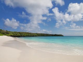 Delhi To Goa Flight Fare Price