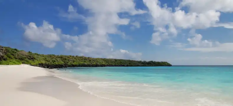 Hotels mit Pools in Goa, Indien