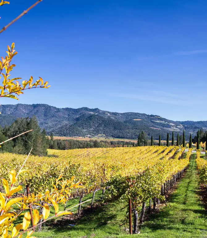 Napa County