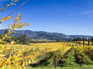 Direct flight from Santa Barbara to Napa County tickets