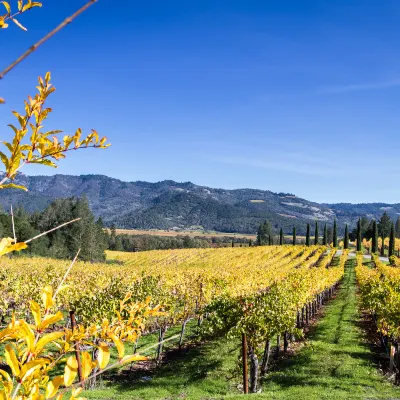 Vé máy bay Hà Nội Santa Barbara