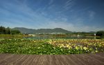 Longquanhu Wetland