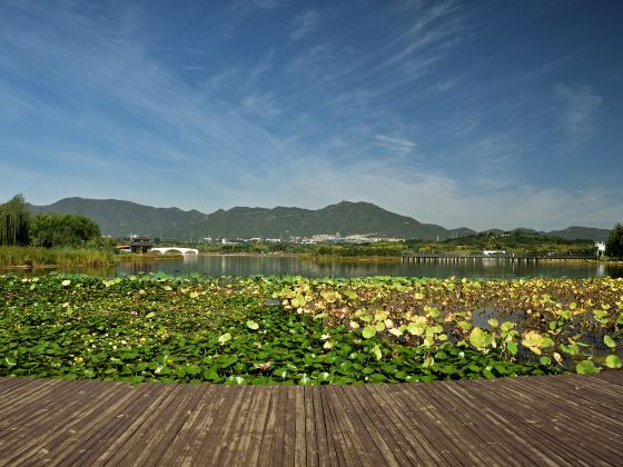 Longquanhu Wetland