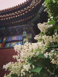 The palace of peace and harmony  