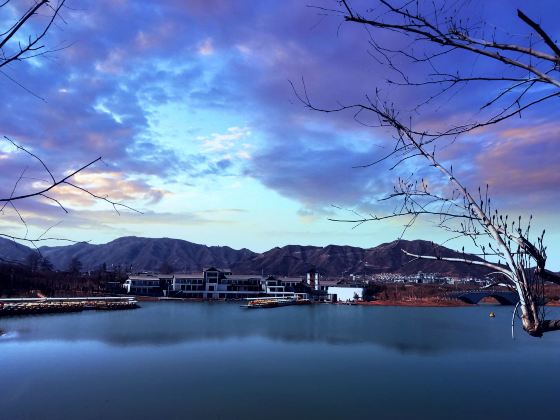 Wetland Park