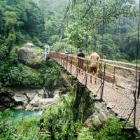 Journey to Lush greenery