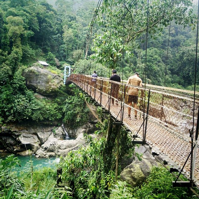 Journey to Lush greenery