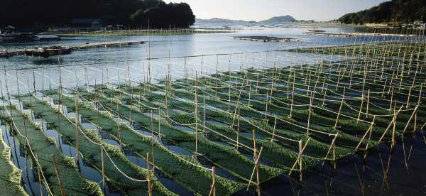 Villas in Mie Prefecture, Japan