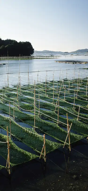 Префектура Миэ, Япония: отели, где есть баром