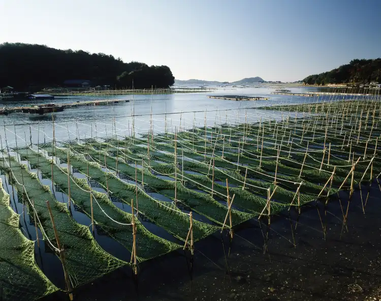 2-Star Hotels in Mie Prefecture, Japan