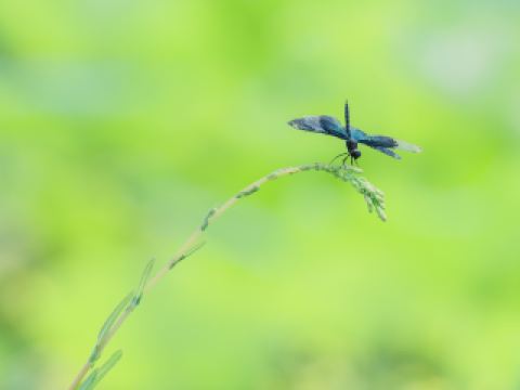アズイン半田インター クーポン