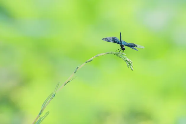 Отели рядом с достопримечательностью «Musim Gallery»