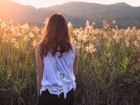 【2026芒草季節】最新14大賞芒草景點🌾，秋冬芒草行山路線推薦