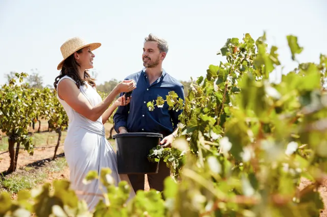 5 Incredible Road Trips from Sydney