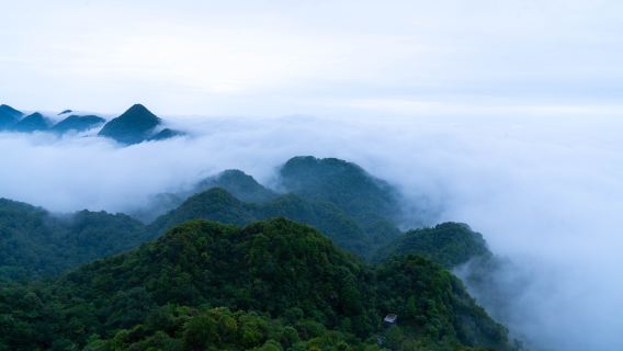 綿陽日遊