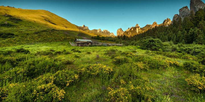 Zecha Stone Forest