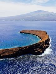 Molokini Crater