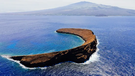 莫洛基尼火山口